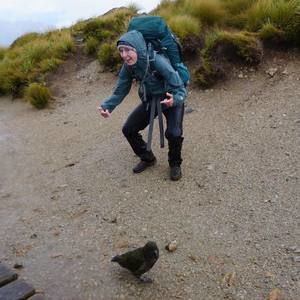 Meet your Posher, Sandra